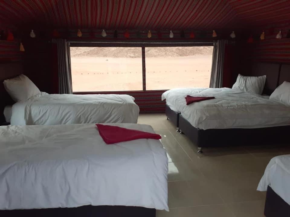 Black Irish Camp And Tours Wadi Rum Exteriér fotografie